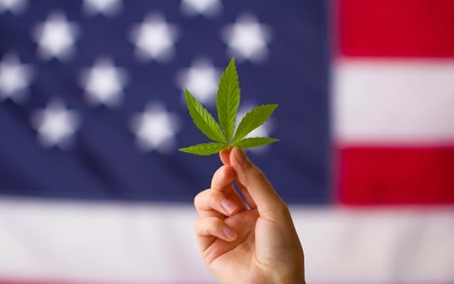 US House of Representatives passes bill to decriminalise cannabis nationwide